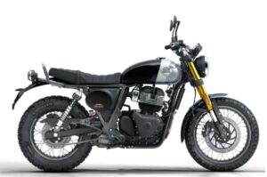 2025 Royal Enfield INT Bear 650
