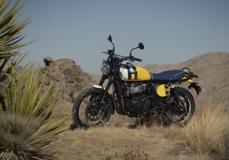 2025 Royal Enfield INT Bear 650